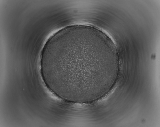 X0000101140987200807110938