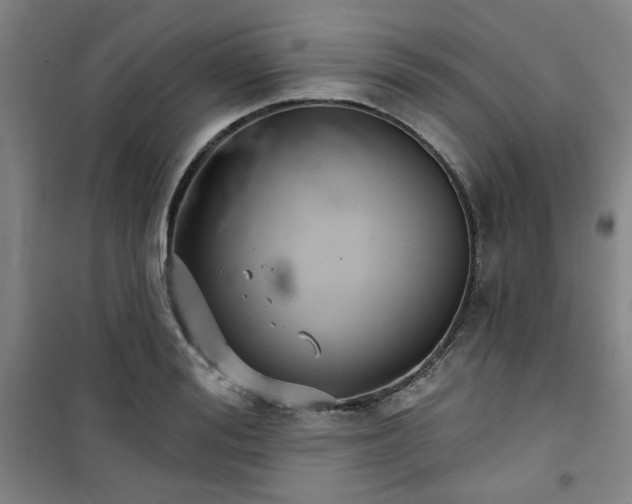 X0000101140988200807110938