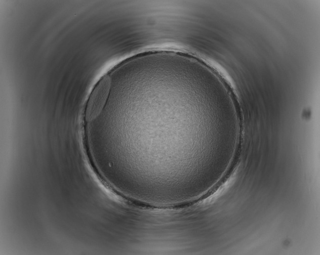 X0000101140989200807110938