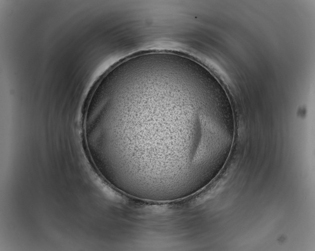 X0000101140990200807110938