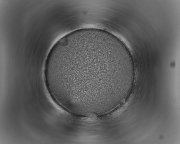 X0000101140991200807110938