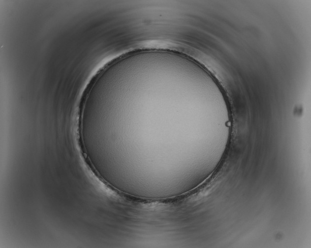 X0000101140992200807110938