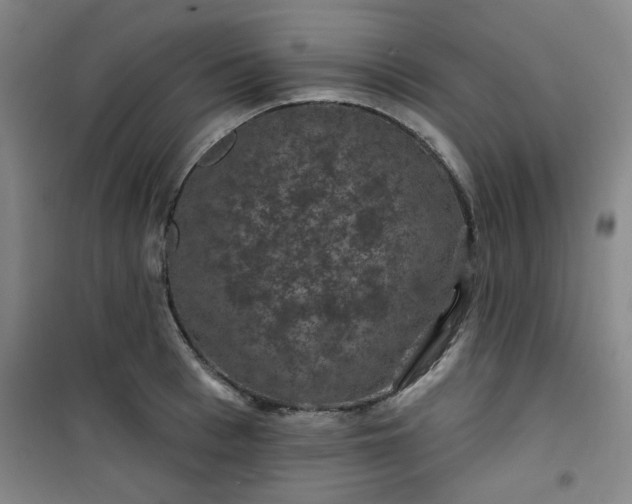 X0000101140993200807110938