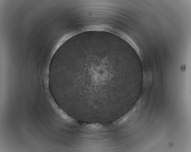 X0000101140994200807110938