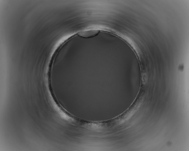 X0000101140995200807110938