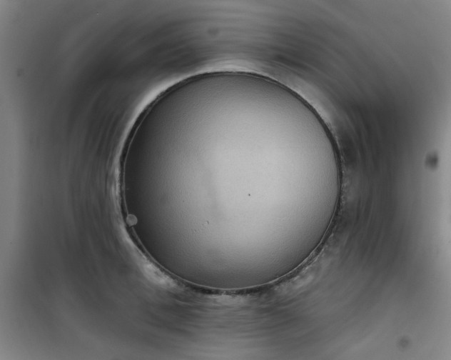 X0000101140996200807110938