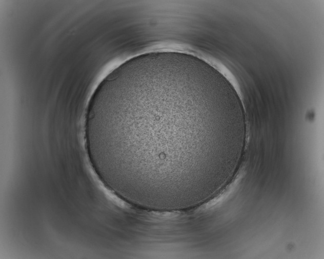 X0000101140997200807110938