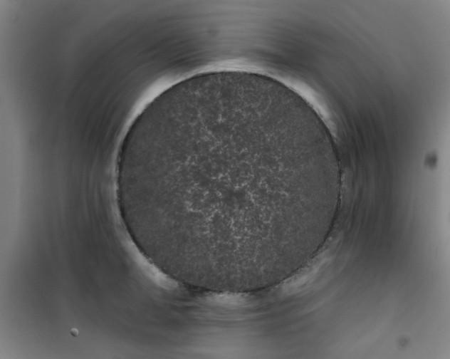 X0000101140998200807110938