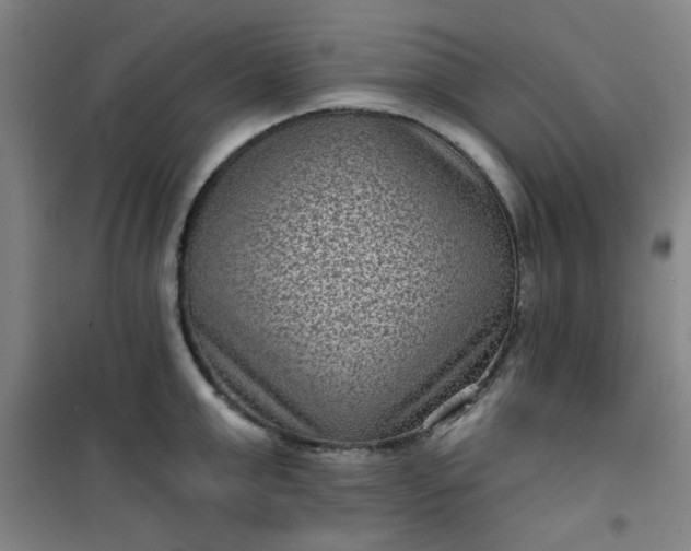 X0000101140999200807110938