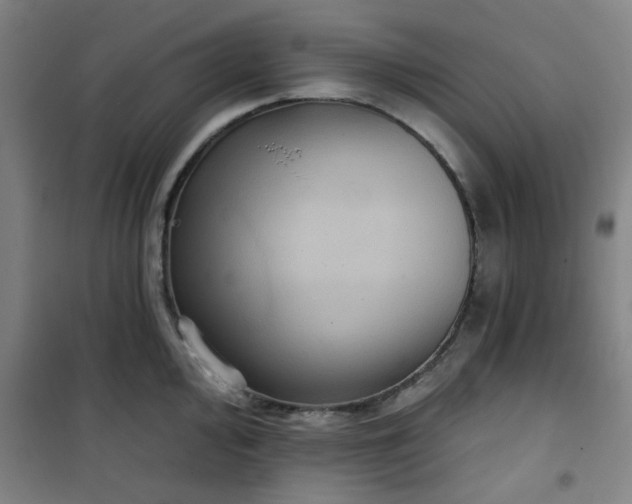 X0000101141000200807110938