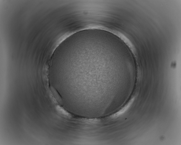 X0000101141001200807110938