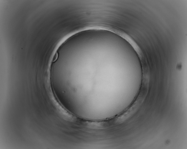 X0000101141004200807110938