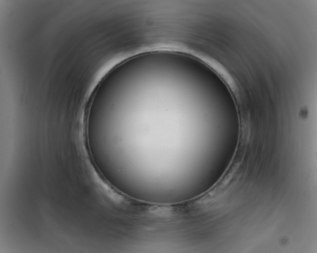 X0000101141006200807110938