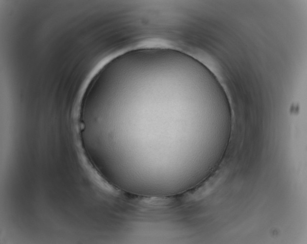 X0000101141008200807110938