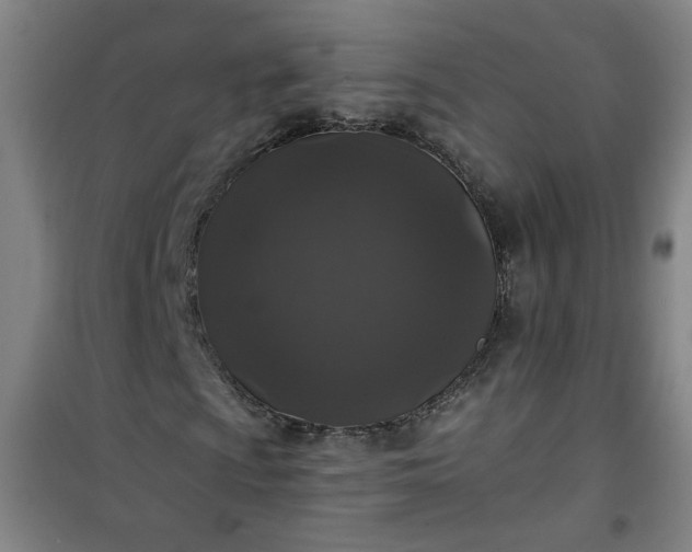 X0000101141009200807110937