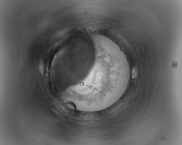 X0000101141011200807110937