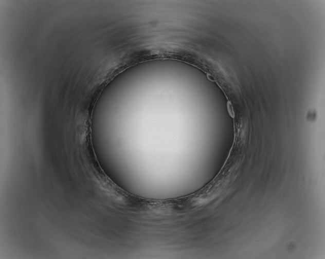 X0000101141012200807110937