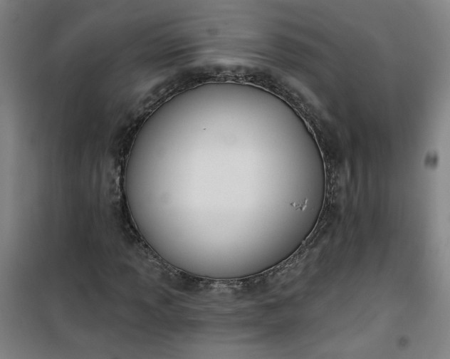 X0000101141013200807110937