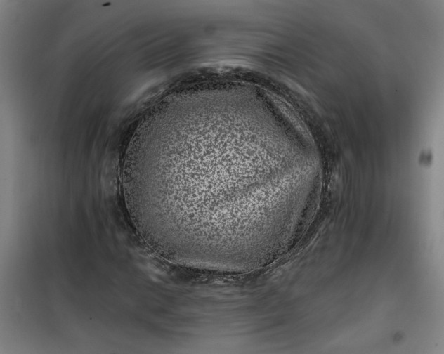 X0000101141014200807110937