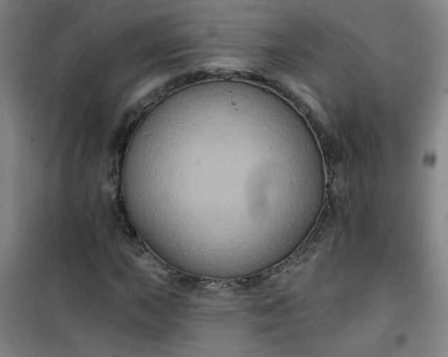 X0000101141015200807110937