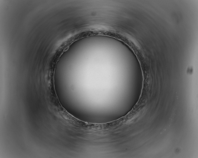 X0000101141016200807110937