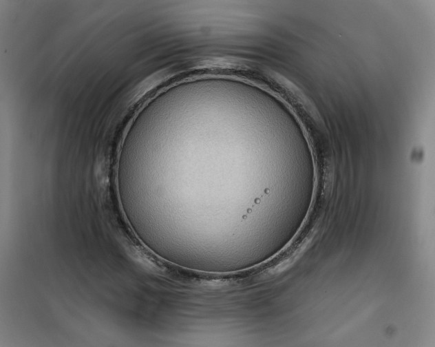 X0000101141017200807110937