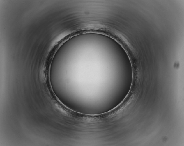 X0000101141018200807110937