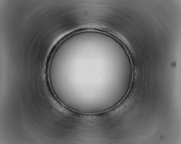 X0000101141020200807110937