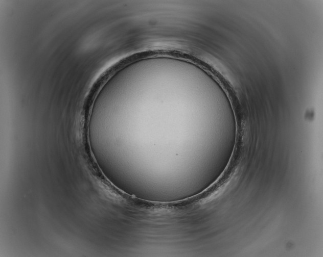 X0000101141021200807110937