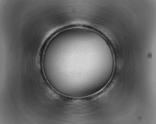 X0000101141022200807110937