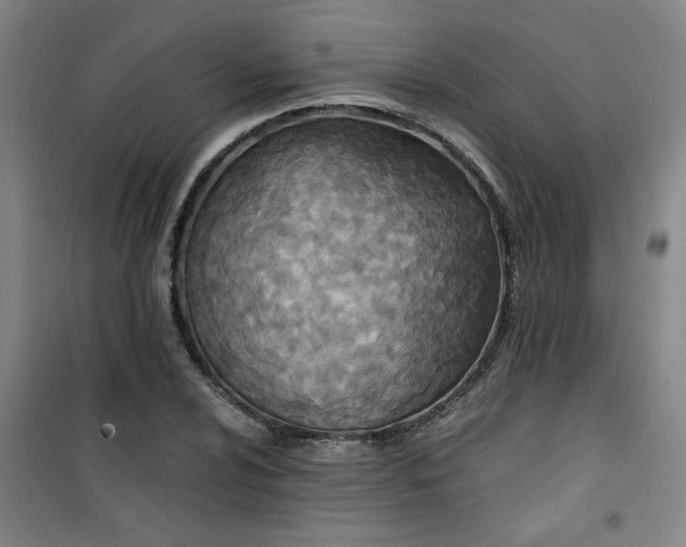 X0000101141024200807110937