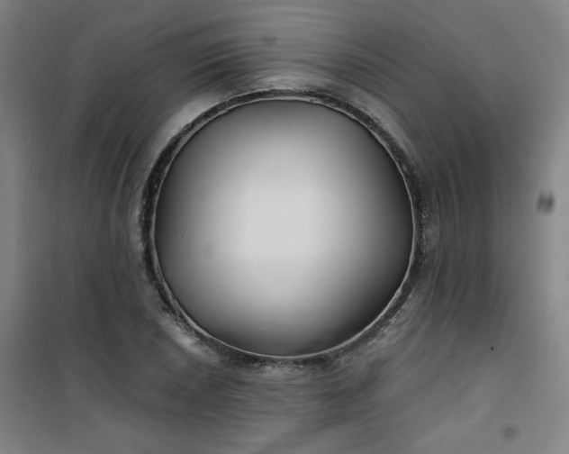 X0000101141026200807110937