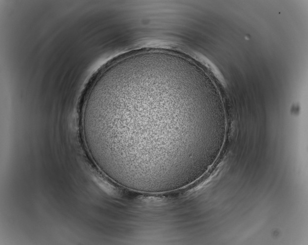 X0000101141027200807110937