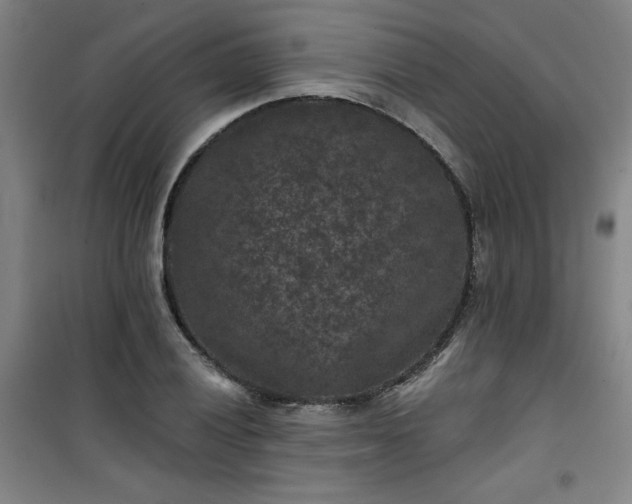 X0000101141028200807110937