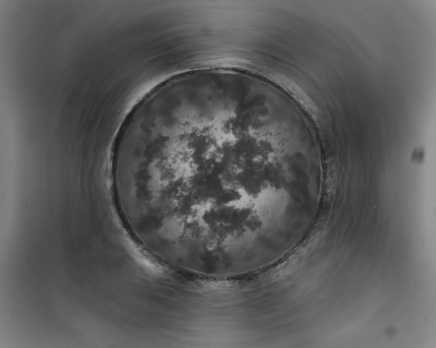 X0000101141031200807110937