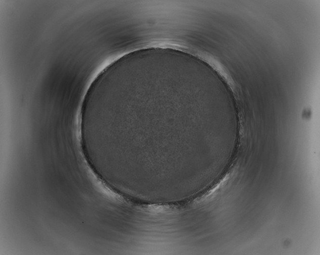 X0000101141032200807110937