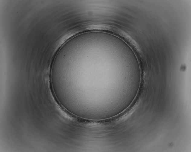 X0000101141033200807110937