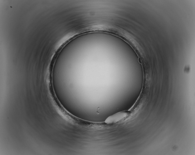 X0000101141034200807110938