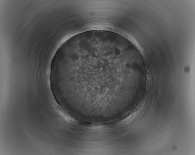 X0000101141035200807110938