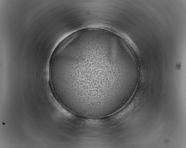 X0000101141036200807110938