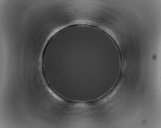 X0000101141037200807110938