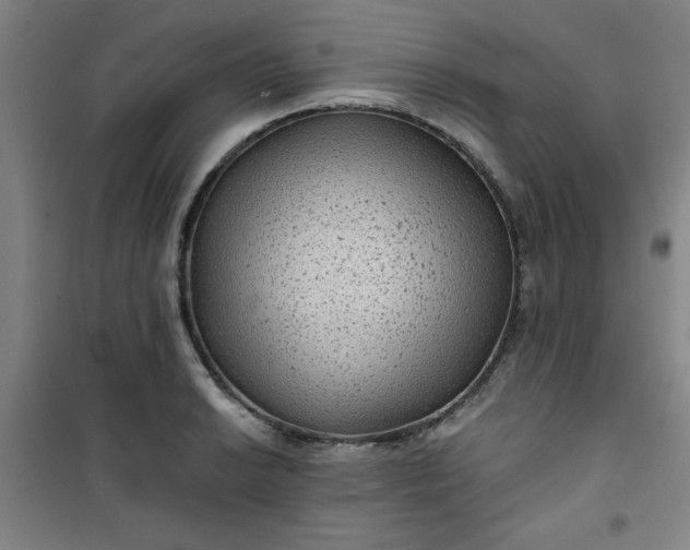 X0000101141038200807110938