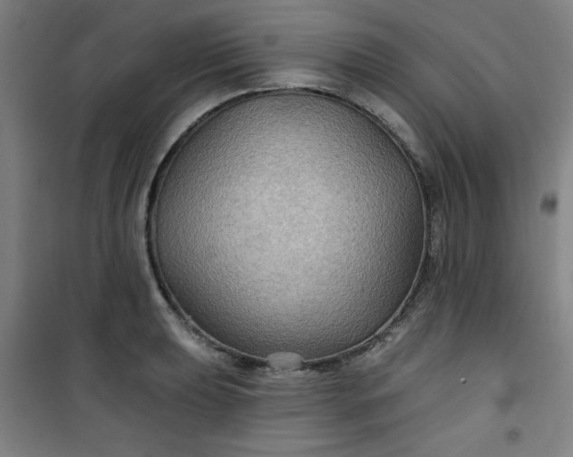 X0000101141039200807110938