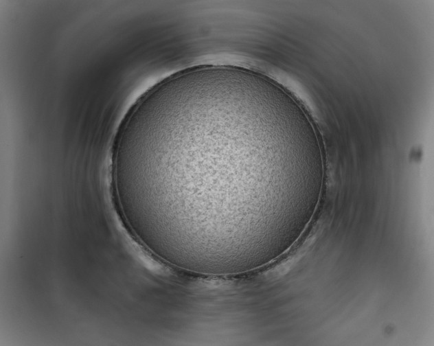 X0000101141040200807110938