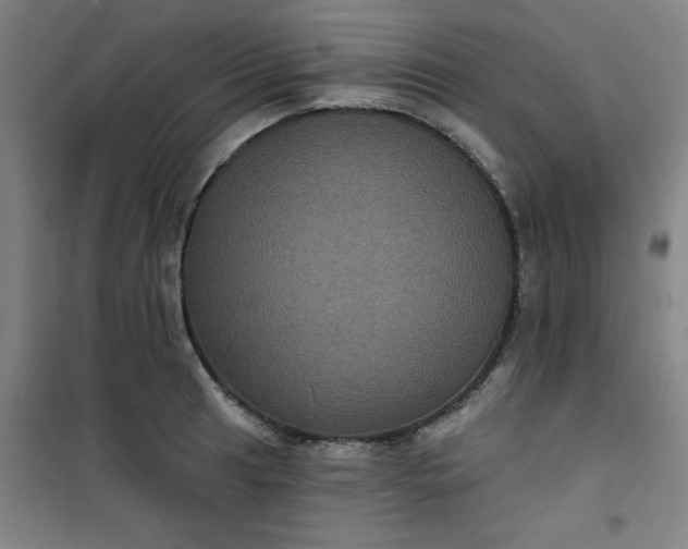 X0000101141041200807110938