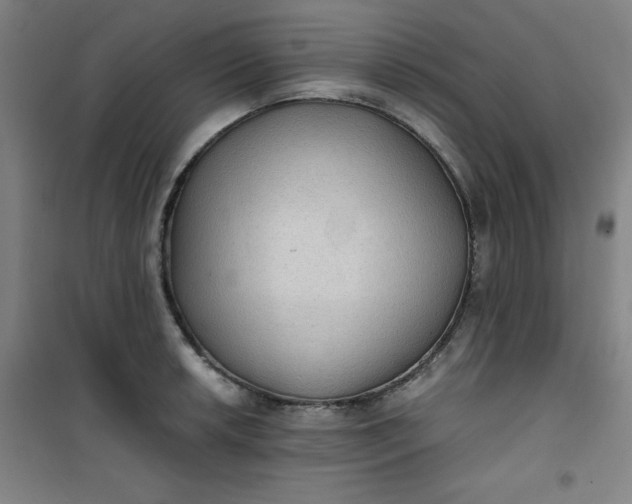 X0000101141042200807110938