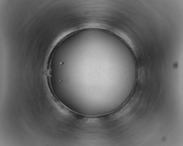 X0000101141043200807110938