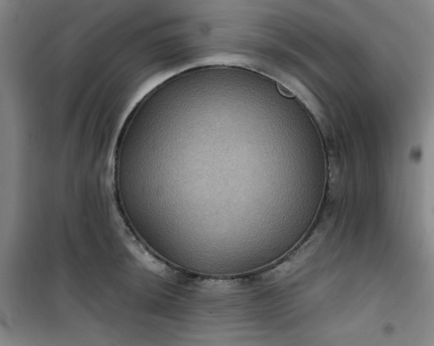 X0000101141044200807110938