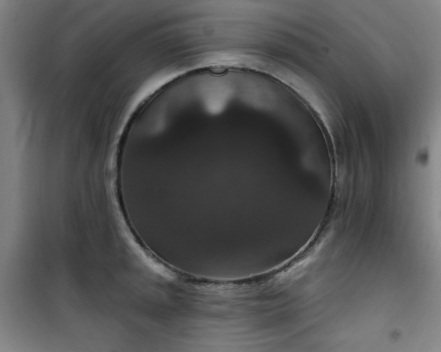 X0000101141045200807110938