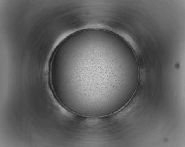 X0000101141046200807110938